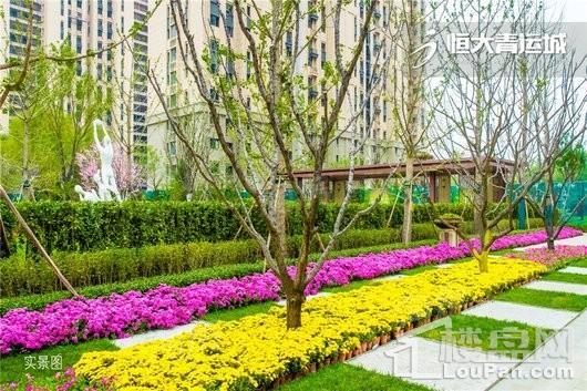 恒大青运城实景图
