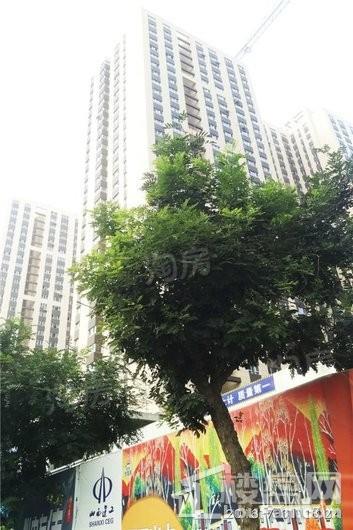 迎泽·美地实景图