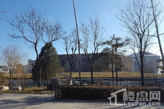 保利西江月配套图