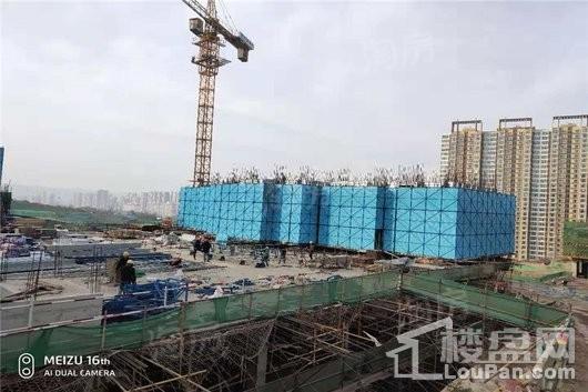 碧桂园·城市花园星幕实景图