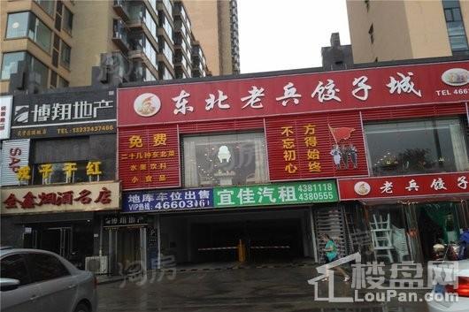 碧桂园·城市花园星幕配套图