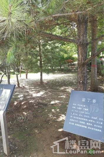 怡美家园配套图