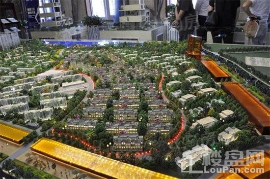 紫金城东湖观澜实景图