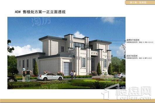 紫金城东湖观澜效果图