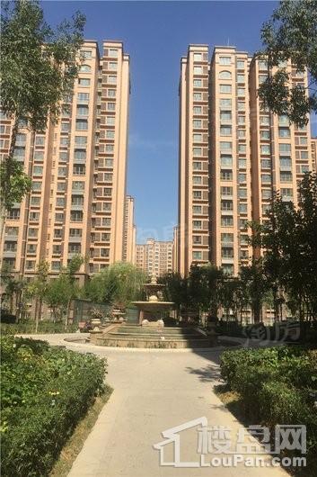 实景图