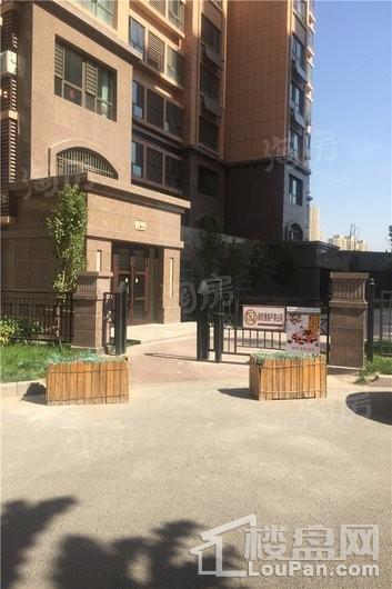 紫煜臻城实景图