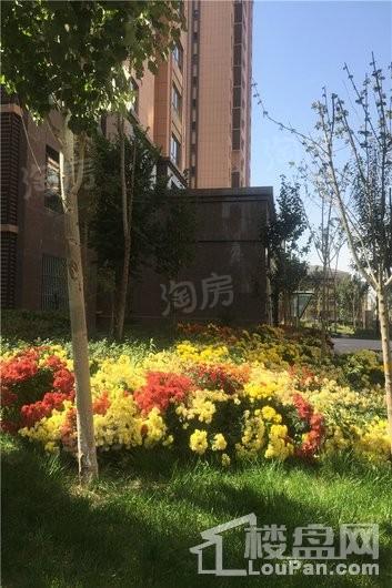 紫煜臻城实景图