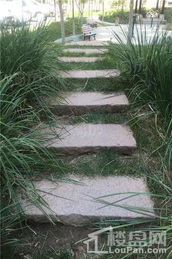 紫煜臻城实景图