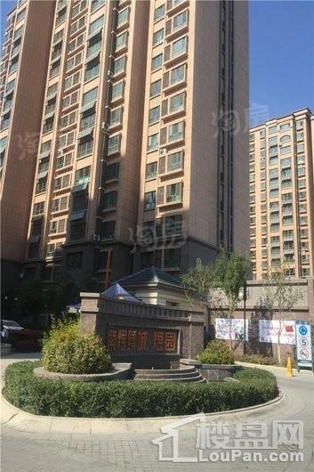 紫煜臻城实景图