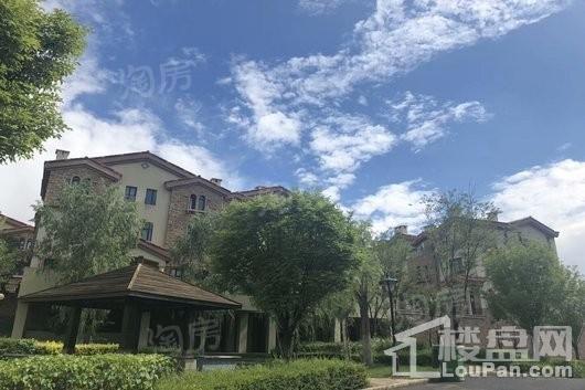 实景图
