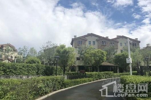 百商城市墅实景图