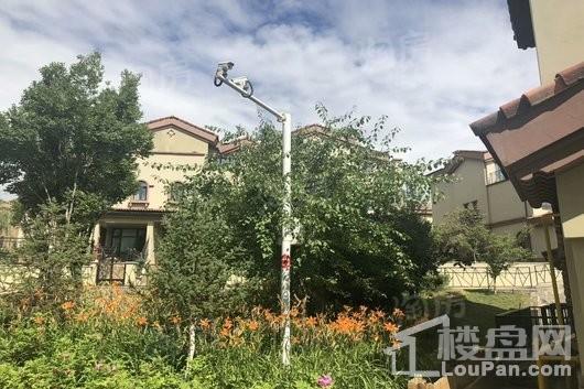 百商城市墅实景图