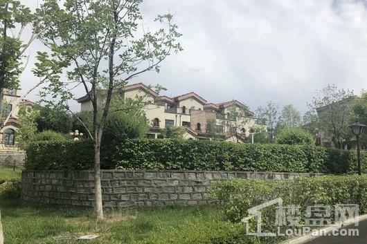 百商城市墅实景图