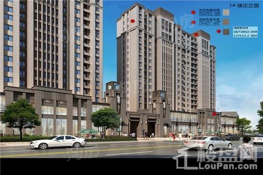 南湖壹号公馆效果图