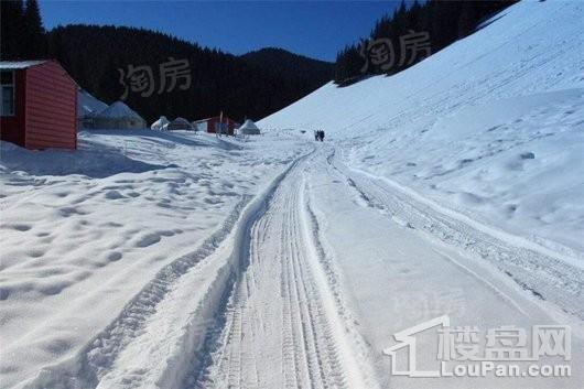新能南山颐园
