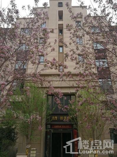 中海雲鼎大观雲玺实景图