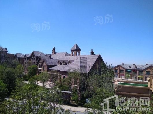 金科维拉莊园实景图