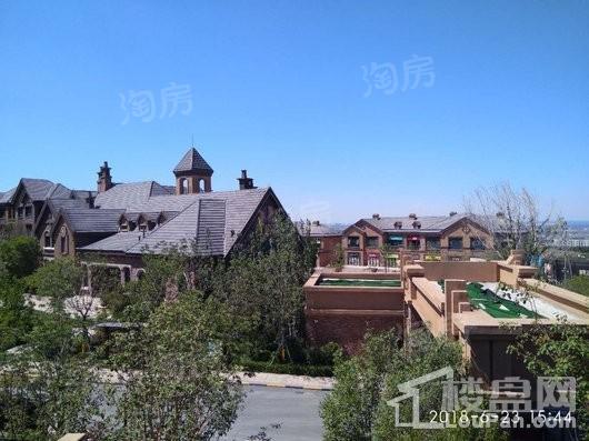 金科维拉莊园实景图