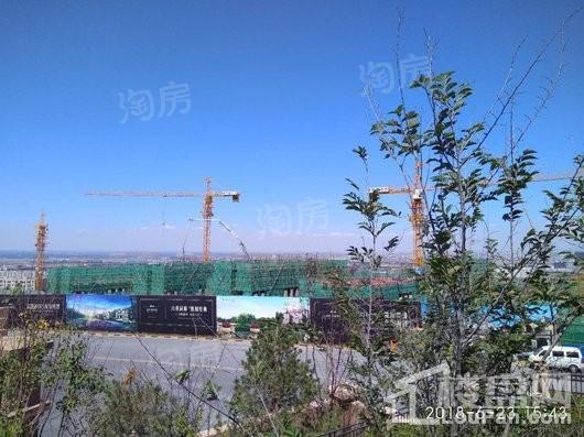 金科维拉莊园实景图