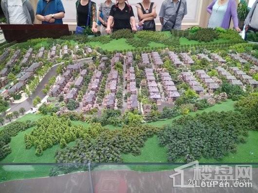 金科维拉莊园实景图