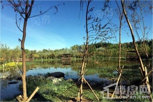 高铁明珠配套图