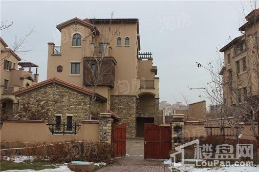 绿城一龙半岛实景图