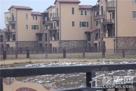 绿城一龙半岛实景图