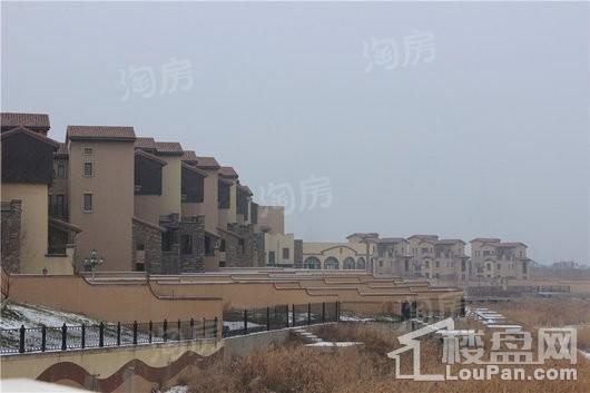 绿城一龙半岛实景图