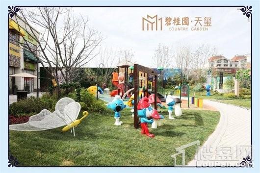 碧桂园天玺实景图