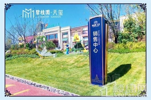 碧桂园天玺实景图