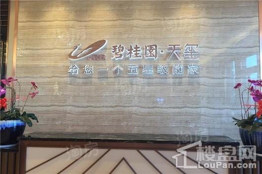 碧桂园天玺实景图