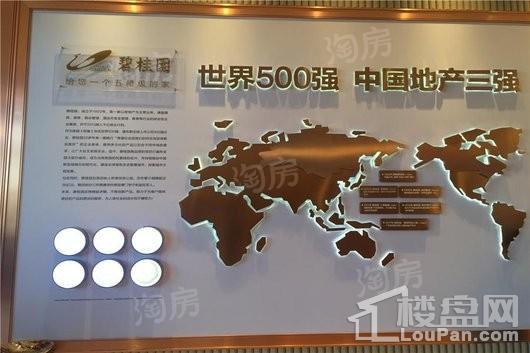 碧桂园天玺实景图