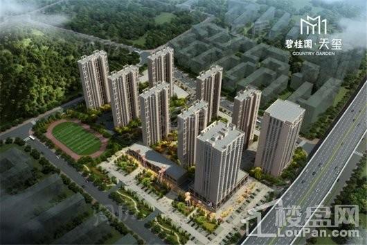 碧桂园天玺效果图