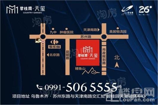 碧桂园天玺效果图