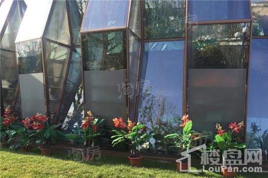 恒大绿洲二期实景图