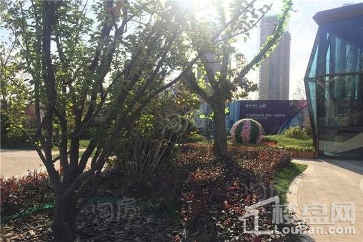 恒大绿洲二期实景图