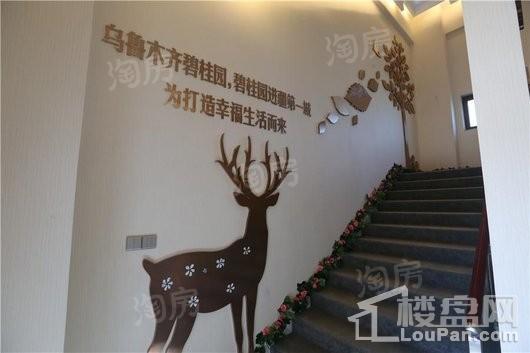 乌鲁木齐碧桂园实景图