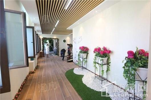 乌鲁木齐碧桂园实景图