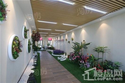 乌鲁木齐碧桂园实景图