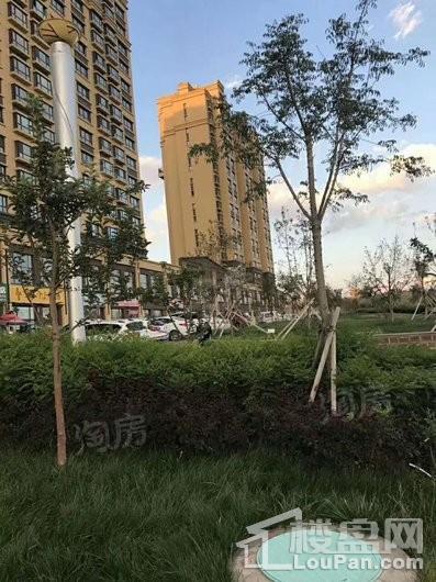 西雅图小镇实景图