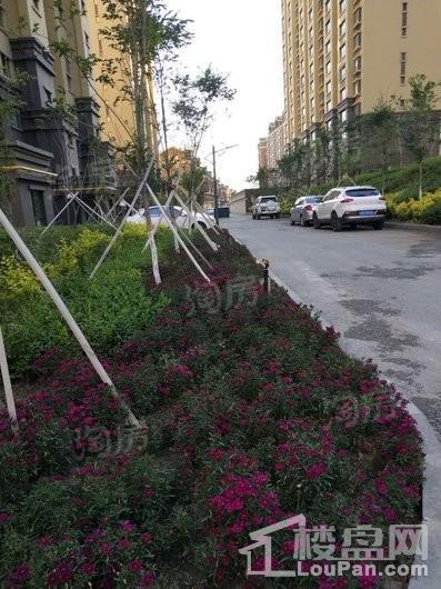 西雅图小镇实景图
