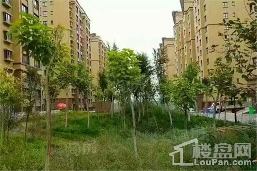 万泰阳光城三期实景图