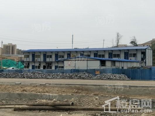 公园尚景实景图