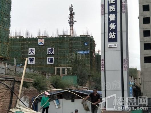 公园尚景实景图