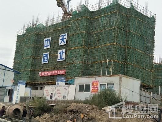 公园尚景实景图