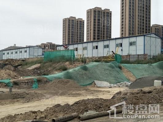 公园尚景实景图