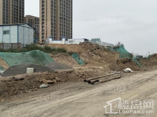 公园尚景实景图