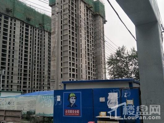 公园尚景实景图