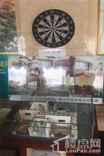 九鼎翼龙华庭实景图