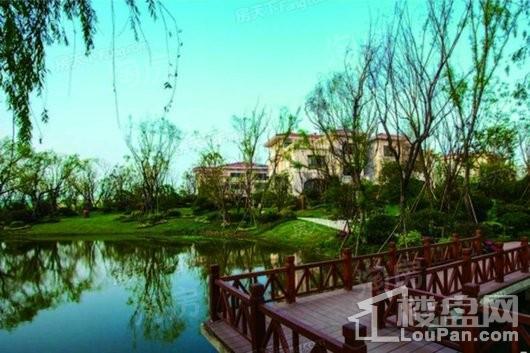 碧桂园凤凰城实景图